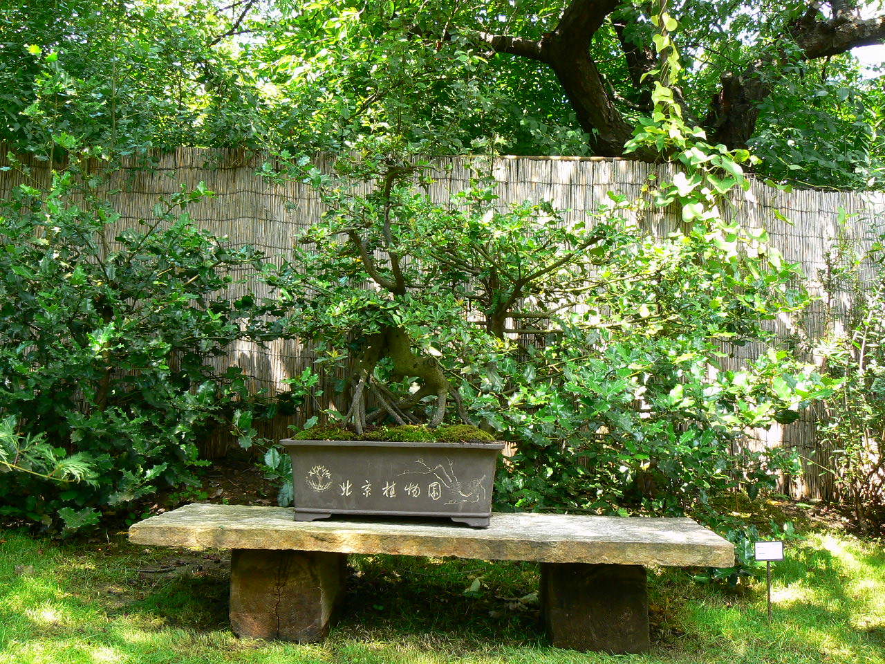 zoo2-084