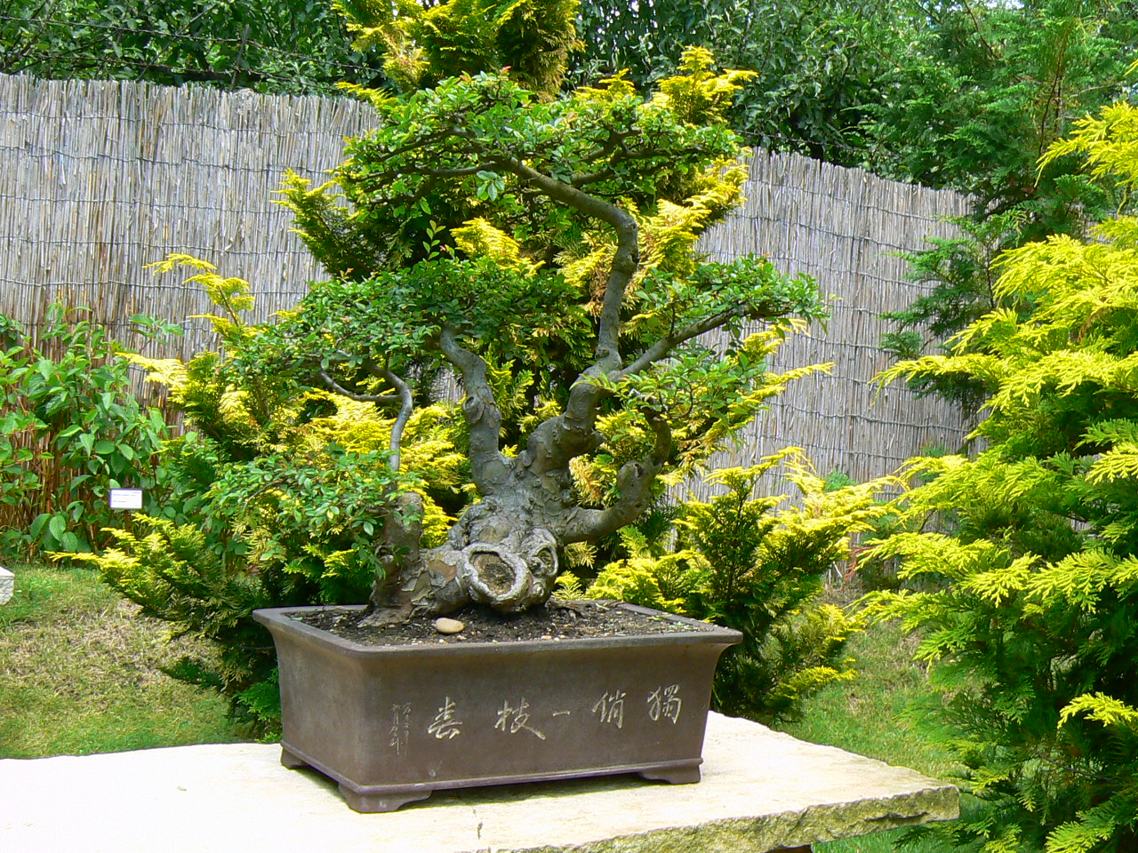 zoo2-089
