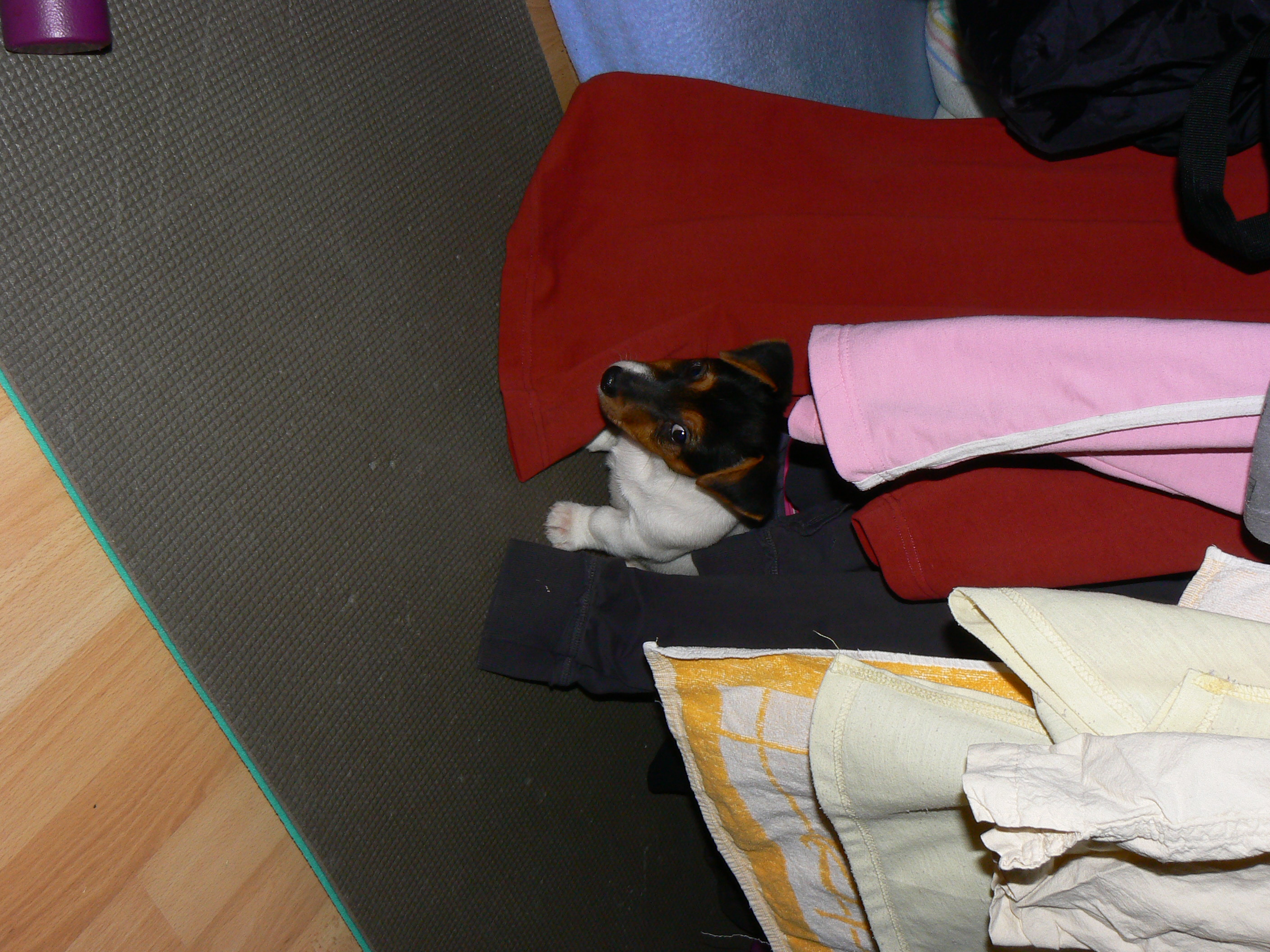P1030675.JPG