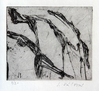 valova_jitka_utek